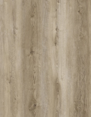 Ivory Birch