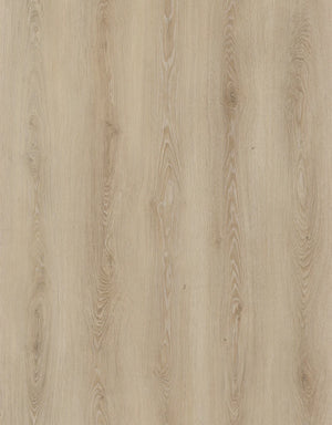 Butternut Beige