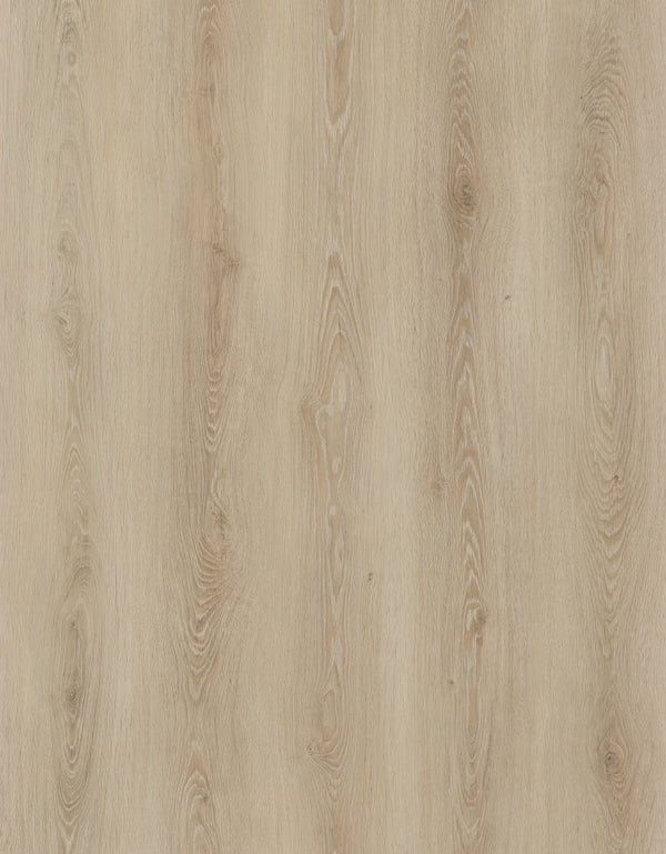Butternut Beige