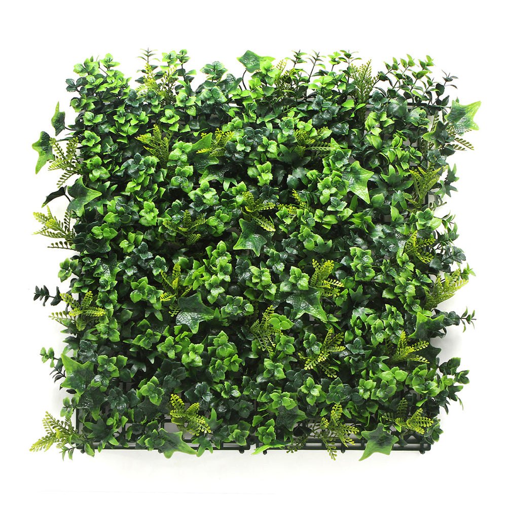 Tropical Plant Wall