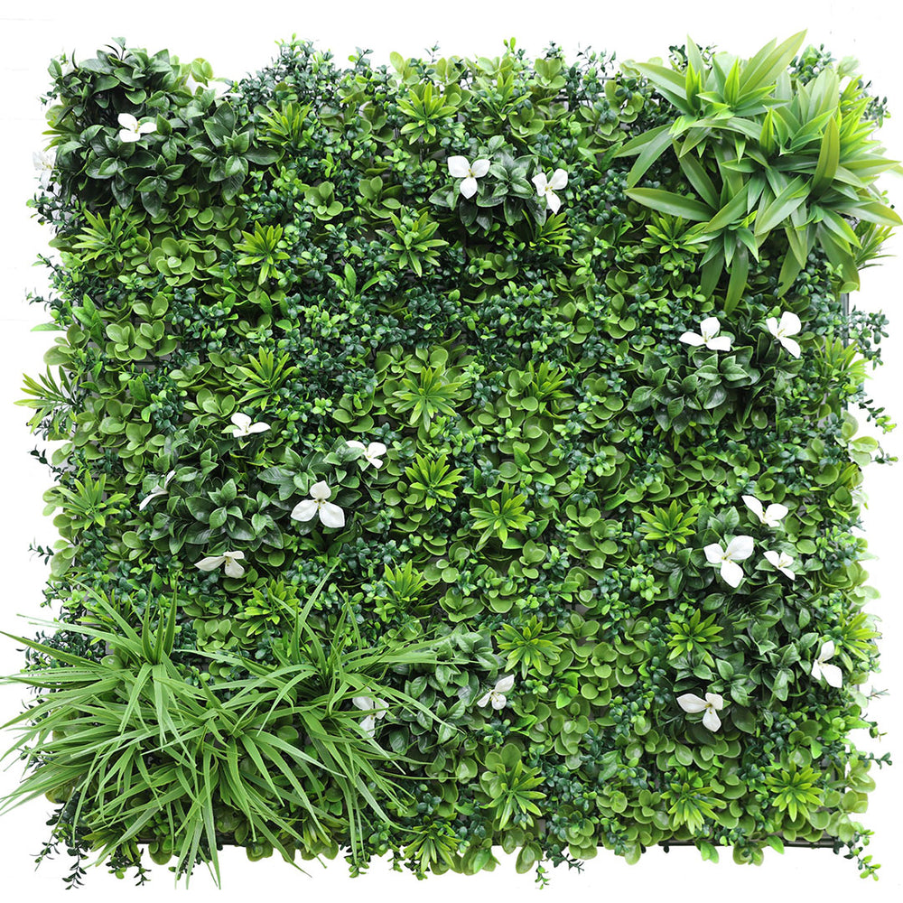 Desert Oasis Plant Wall