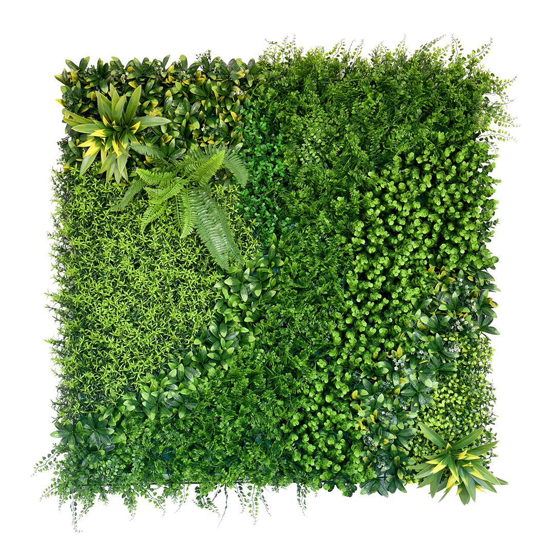Beauty Secret Plant Wall