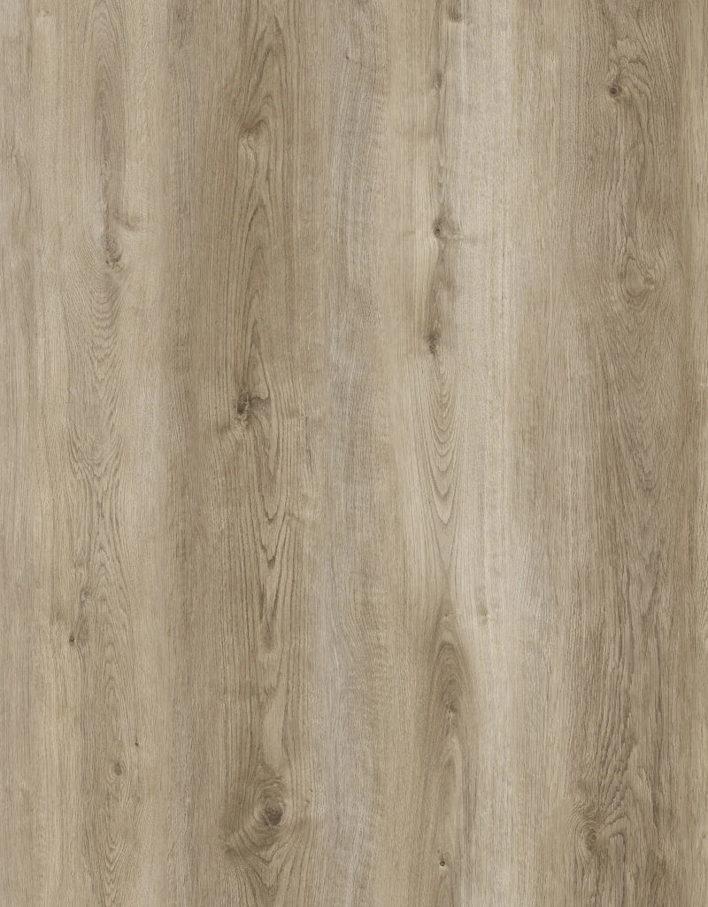 Neowall Herringbone Ivory Birch wall panels with light wood-effect finish