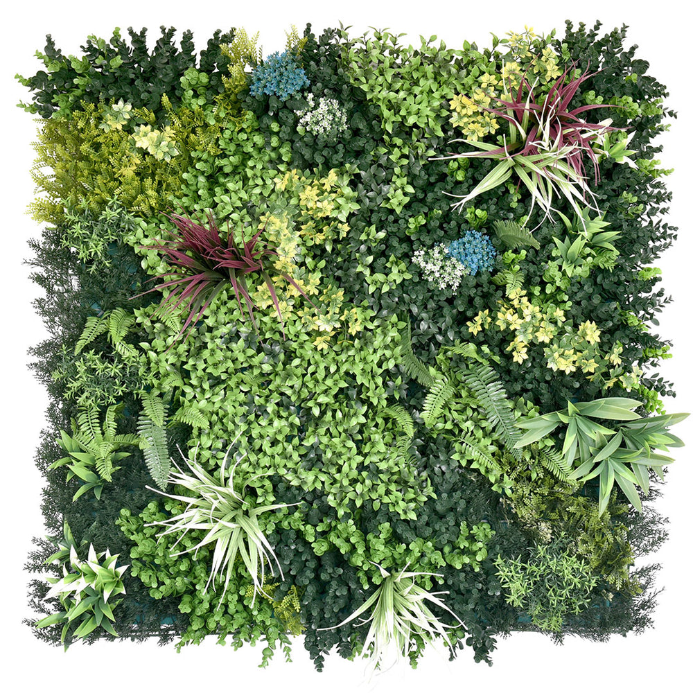 Bluish Spirit Plant Wall