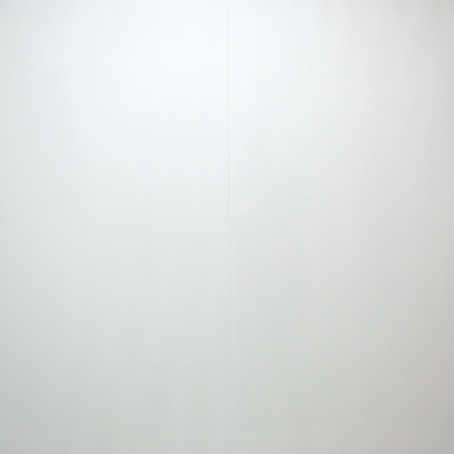 PVC Wall Panels White Gloss