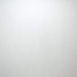 PVC Wall Panels White Gloss