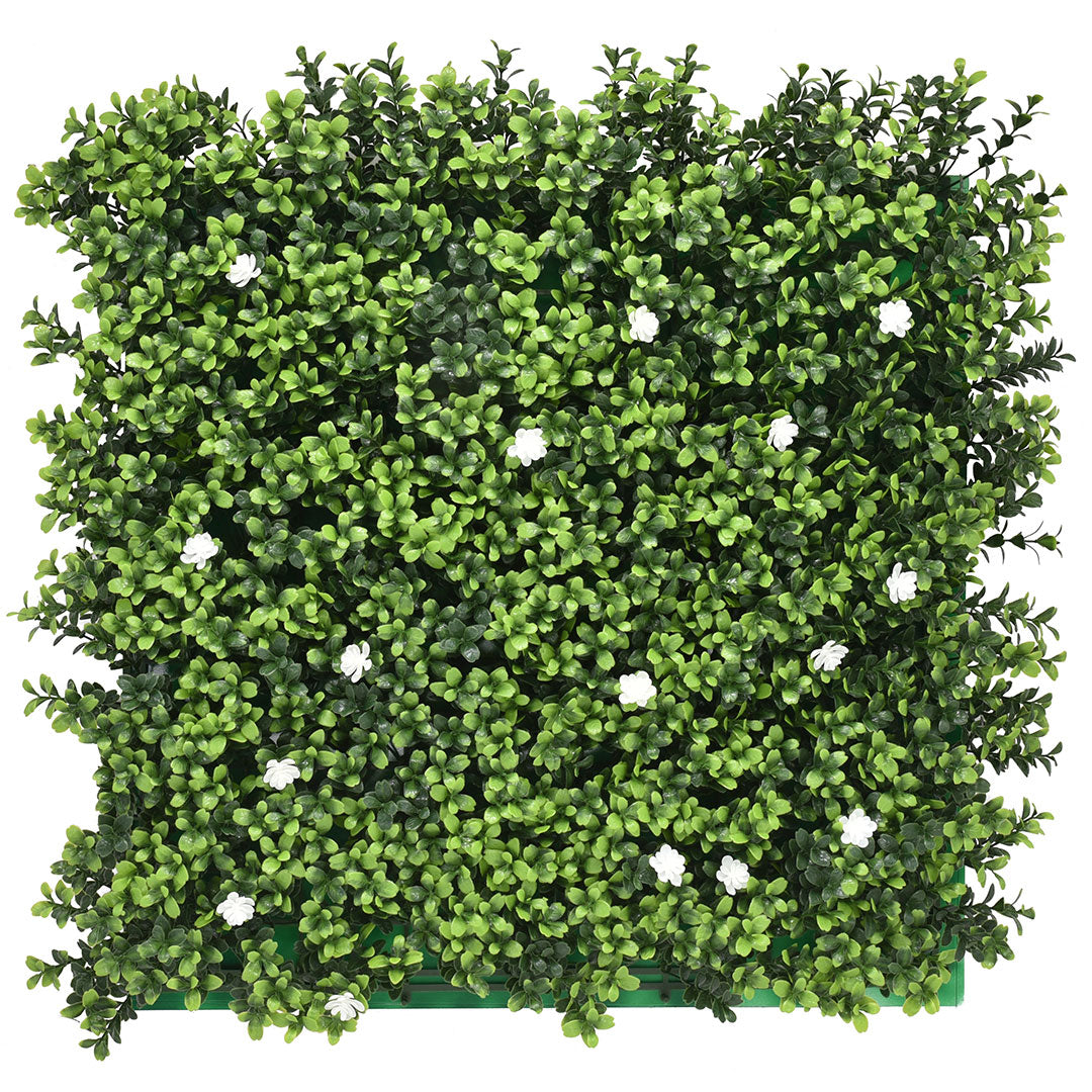 English Boxwood Plant Wall