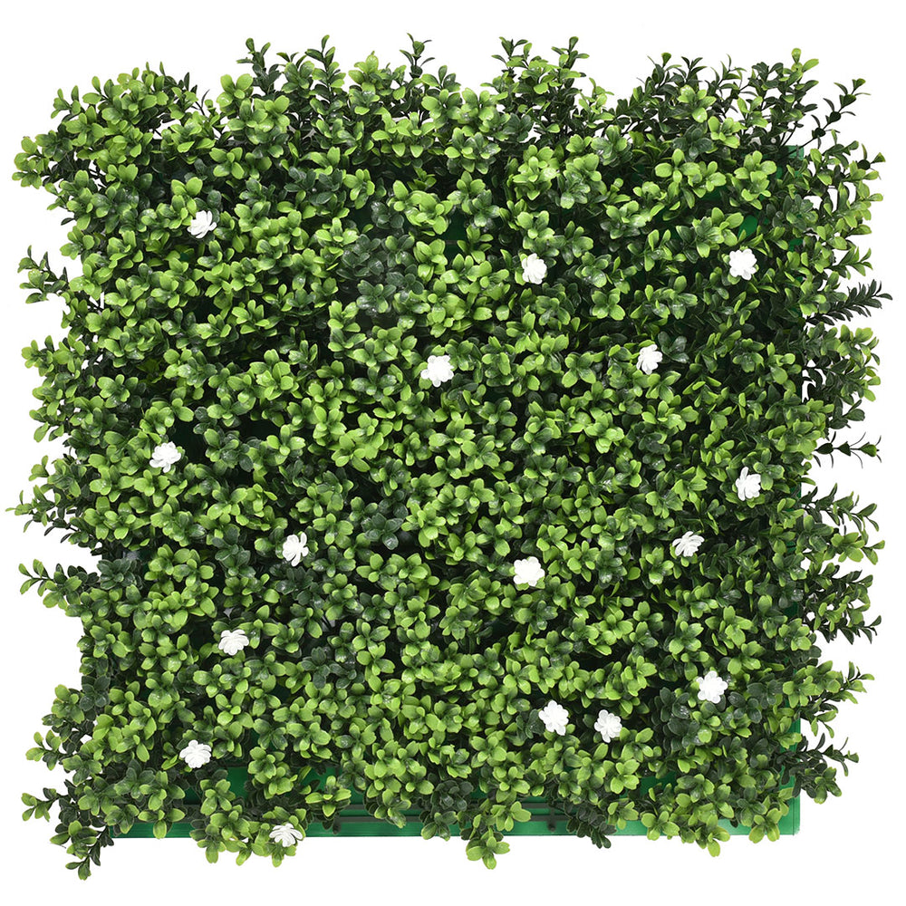 English Boxwood Plant Wall